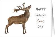 Happy National Sons...