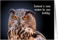 Eagle Owl Birthday...