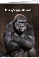 Male Gorilla Grumpy...