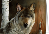 Wolf with Birch...