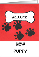 Welcome New Puppy to...