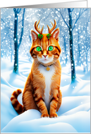 Holiday Orange Tabby...