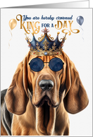 Birthday Bloodhound...