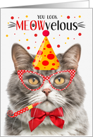 Gray and White Domestic Cat MEOWvelous Birthday card