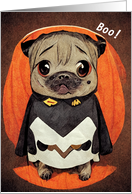 Dog Halloween Pug in...