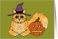 Witchy Halloween Cat