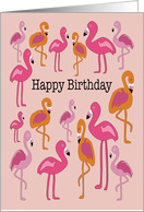 Flamingo Birthday...