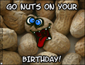 nuts,birthday,go nuts,happy birthday,peanuts,crazy,funny,humorous,